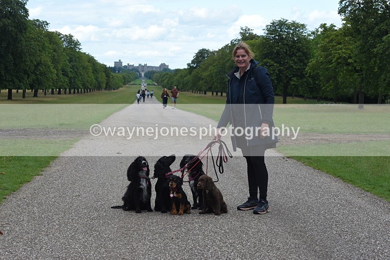 TT3_0472 - Time at Crossing 14:53 to 1526