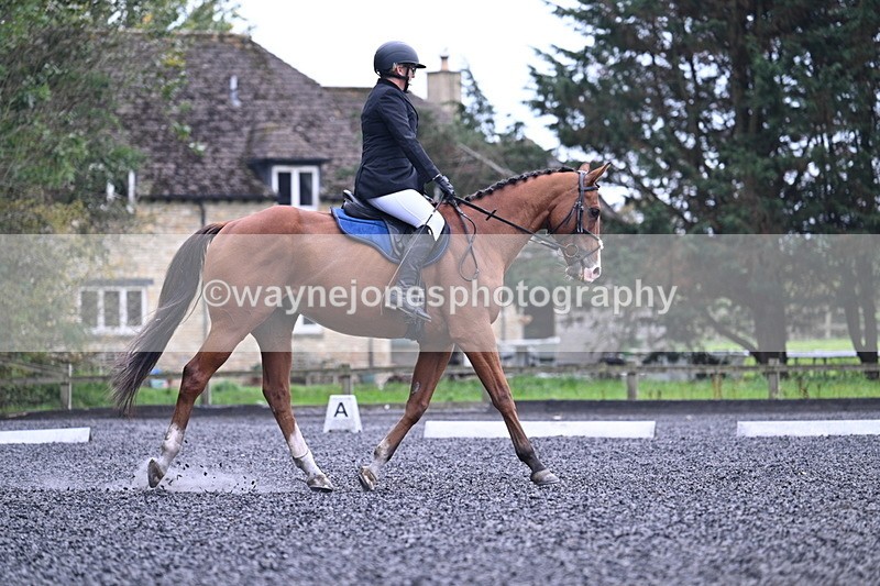 WJ7_3439 - Time 09:54 to 10:54