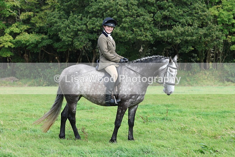 3E7A6014 - Class 28: 75cm Working Hunter