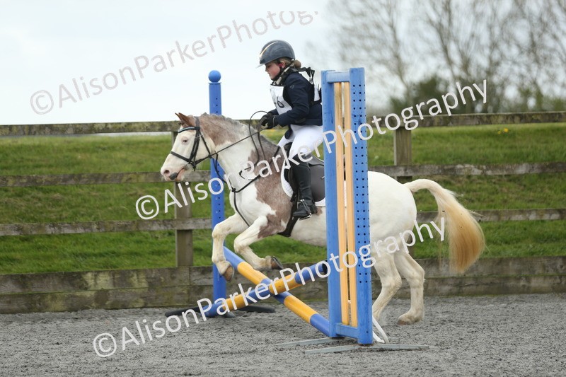20260412-0670 - Show Jumping