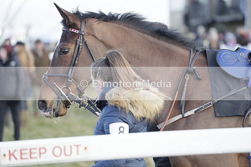 PtP 260223 1006 - South & West Wilts Point-to-Point Larkhill 26/02/23
