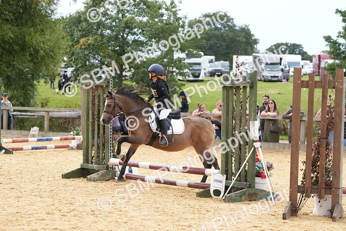 SBM_70599 - J3 - Mini Tour Junior Pony 40cm Championship