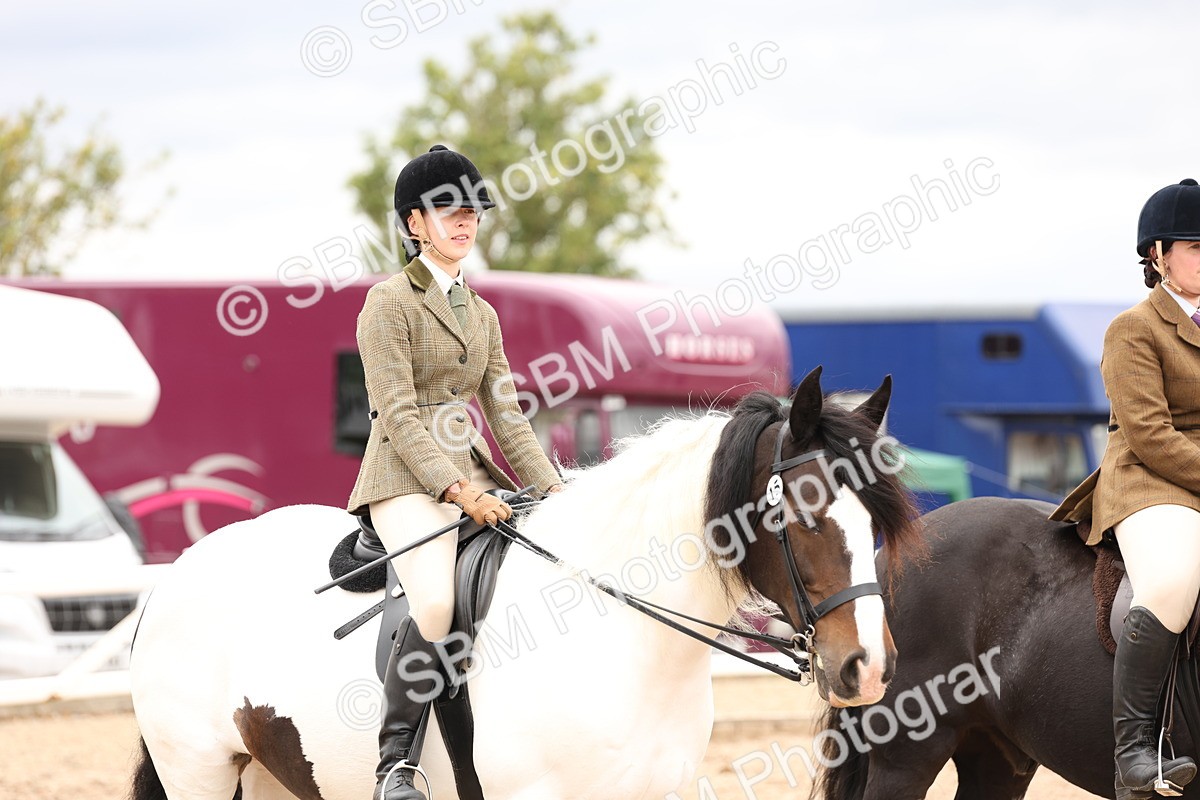 SBM_19705 - Class 216 - Ridden Traditional - Native Cob