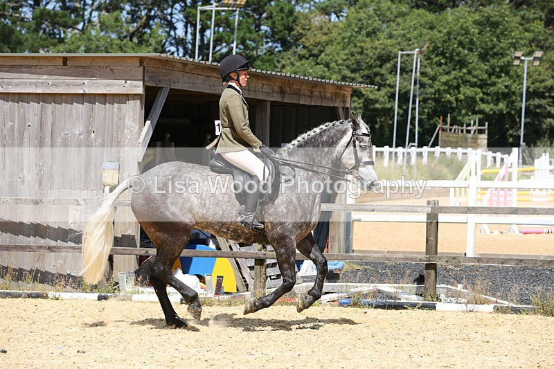 1X9A8813 - Class 19: Riding Club Horse