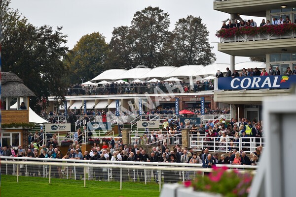 yr09102021r2-14 - Race 2 2.02pm Coral Beaten-By-A-Length Free Bet Rockingham Stakes