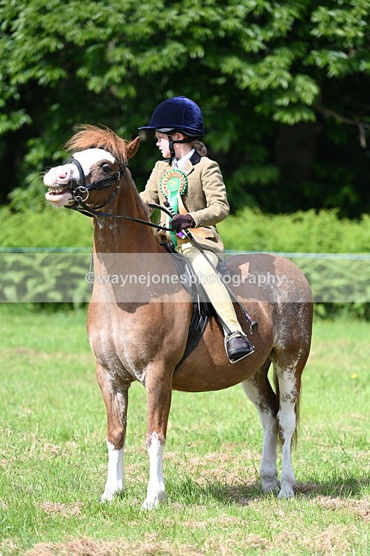 WJ7_0920 - Class 8 First Rally Pony