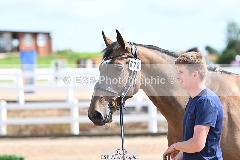 240717A-153551-02904 - Trot Up 3pm to 4pm