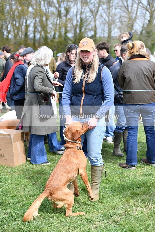 WJ5_9716 - Class 3 Most Handsome Dog