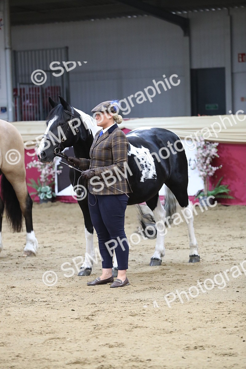 SBM_06393 - Class 9R Regional- IH Pre Vet