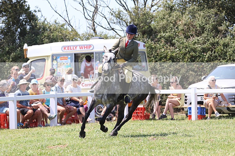 JPP_2827 - Class 21: Working Hunter 60cm