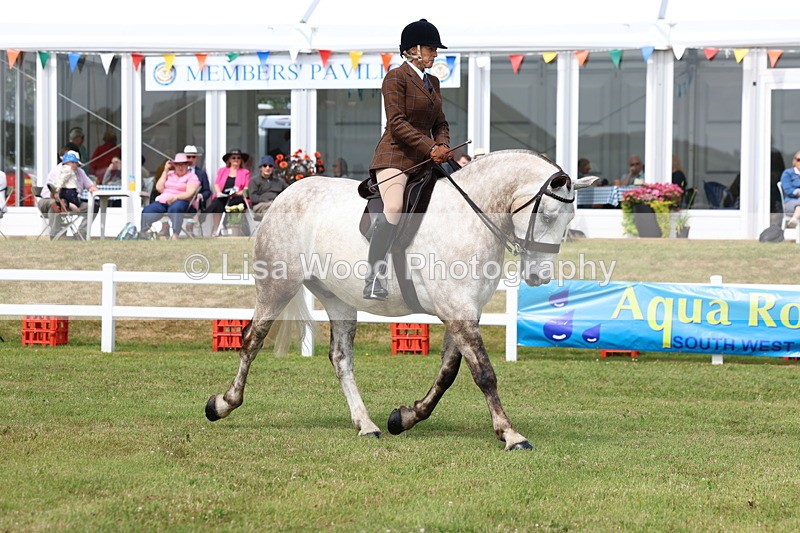 3E7A0247 - Class 6: Rising Star Maxi Cobs