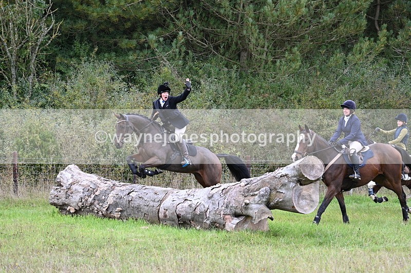 WJ7_3754 - Camera 1 Line 1