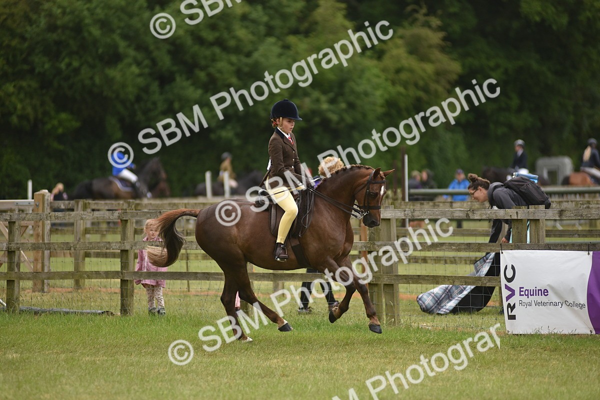 SBM_12000 - Class 110-112 - LIHS BSPS Performance Pones