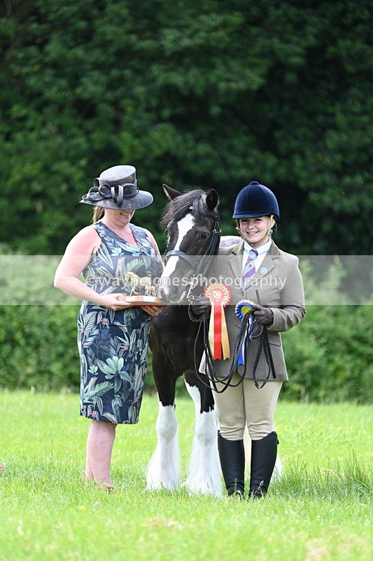 WJ7_1569 - Class 11 Condition & Turnout