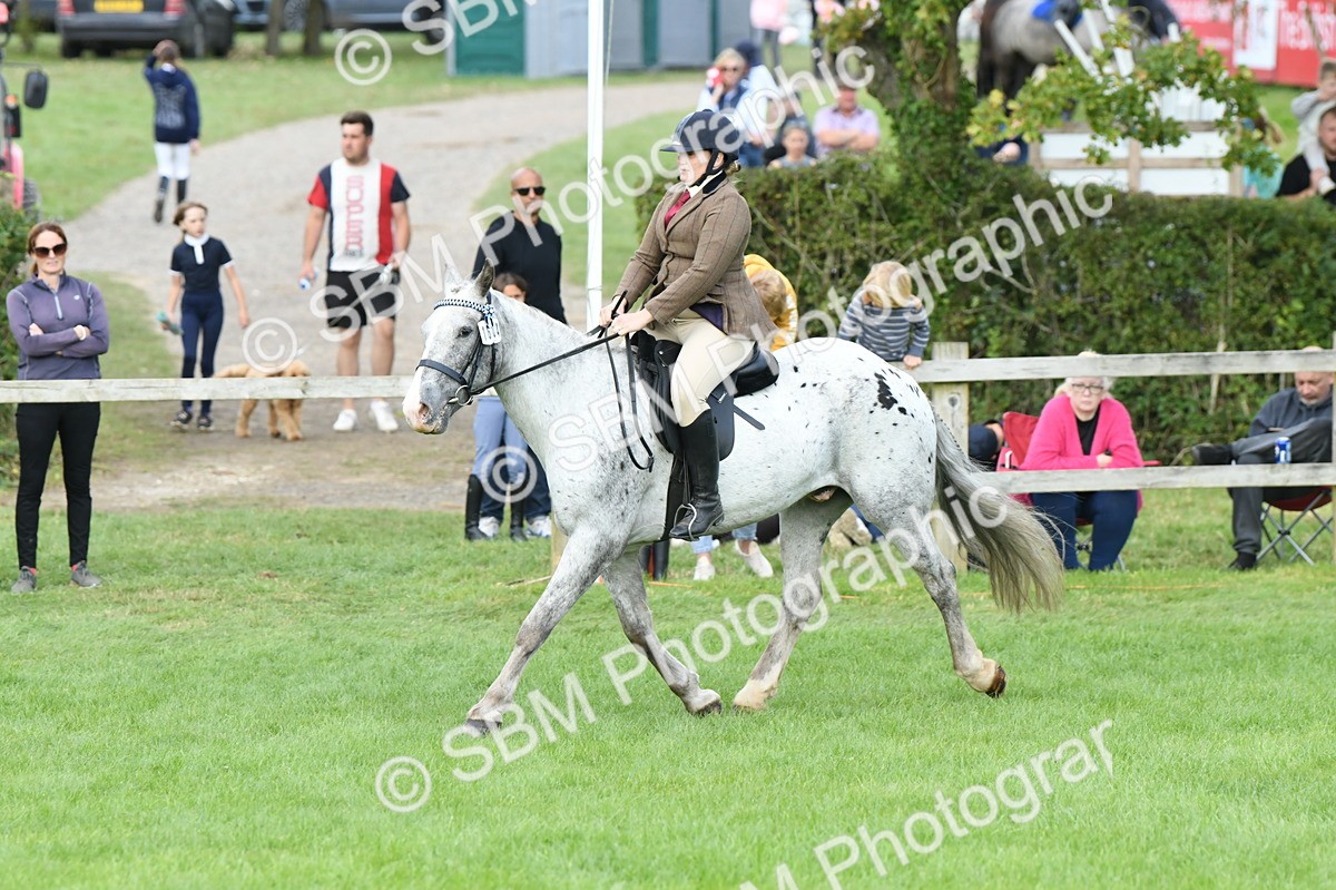 SBM_47184 - S12 - Family Horse & Pony