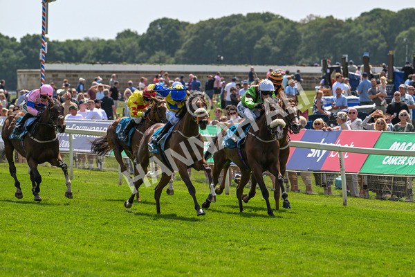 130625-Race 1-Feel The Need-8351 - Race 1 1.50pm Andy Thornton Hospitality Furniture Apprentice Handicap