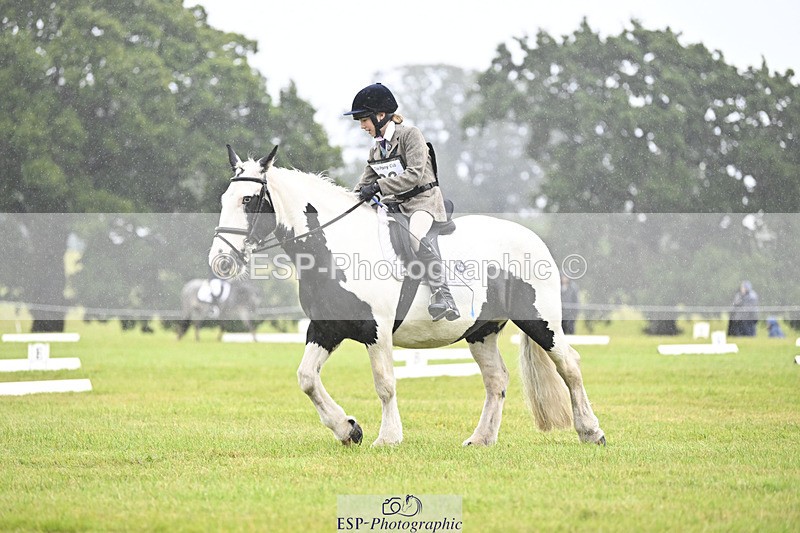 240824X-084933-20956 - D70 Section A and B 8.30 to 9.30