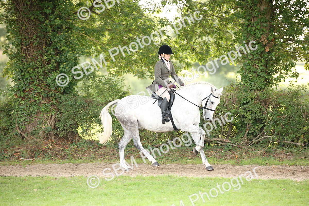 SBM_70383 - S66 - Hunter Ridden