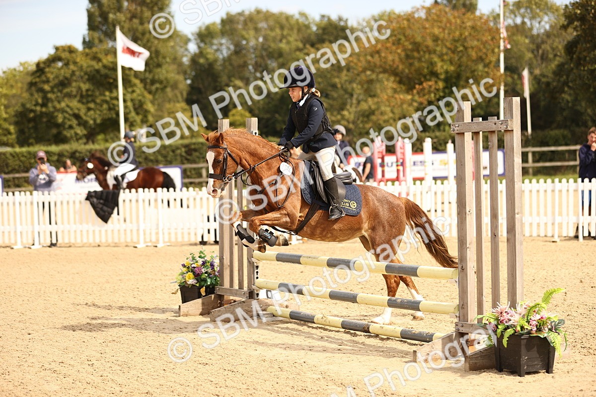 SBM_66848 - J13 - Junior Pony 60cm Championship