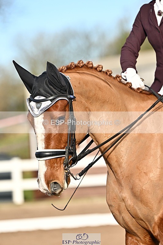 241214-134105-02540 - 112-kelly.jewell-Avalon