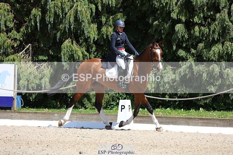 230526-141421-06478 - 372-INDYGO_BLUE-Jess_Butler-WEDTrotUp+DR