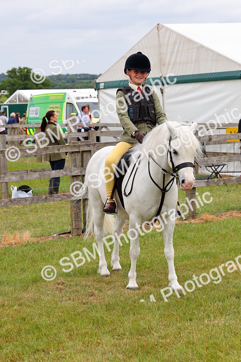 SBM_08814 - Class 42-43 - LIHS BSPS Heritage Working Sports Pony