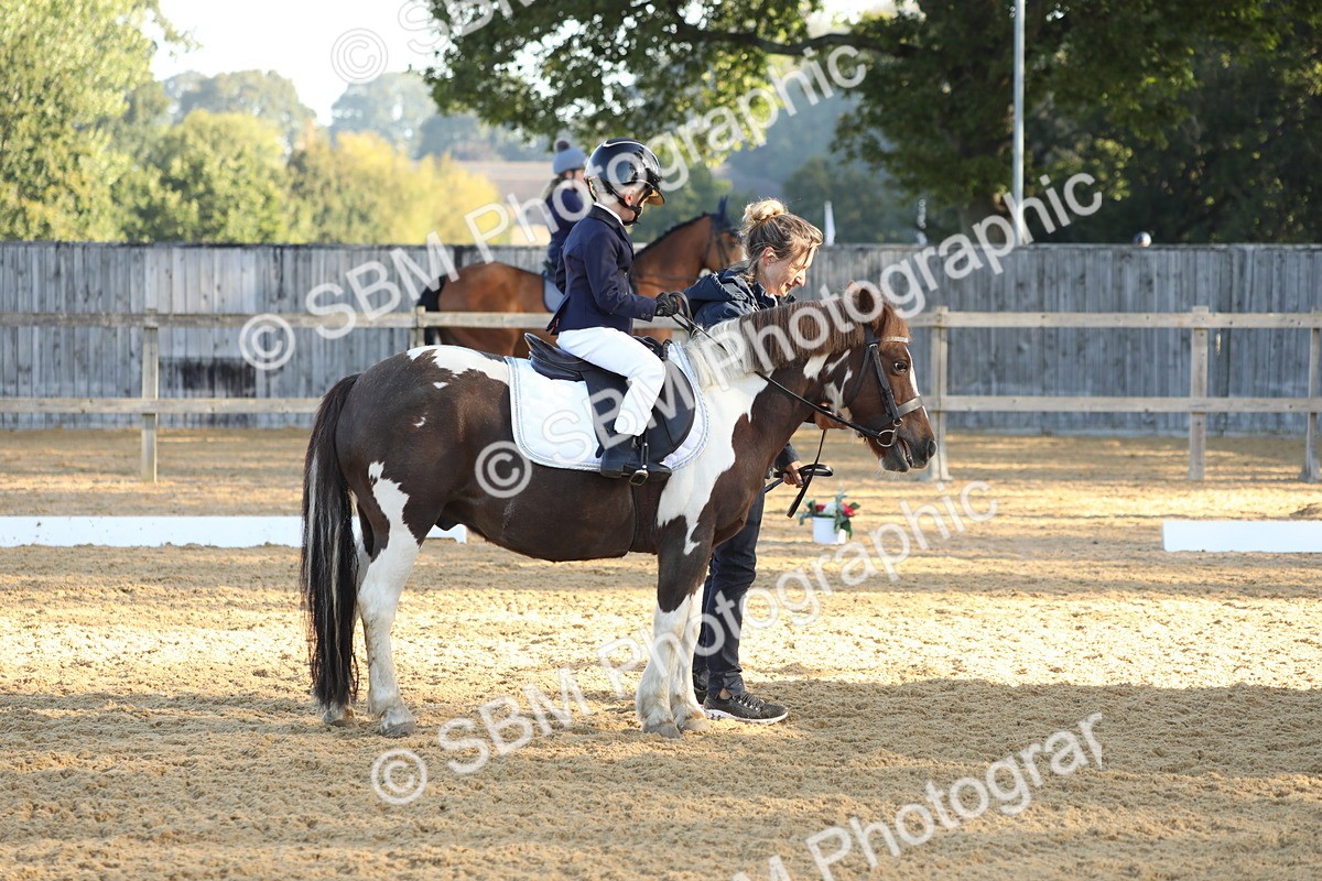 SBM_33706 - D26 - Starers - Lead Rein