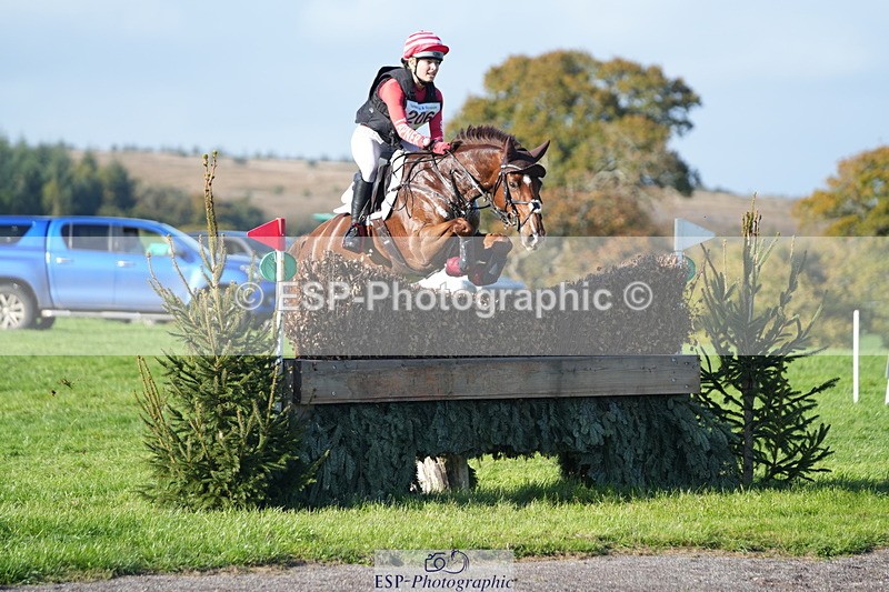 251024A-143901-12868 - C-206-Madison.Tapner