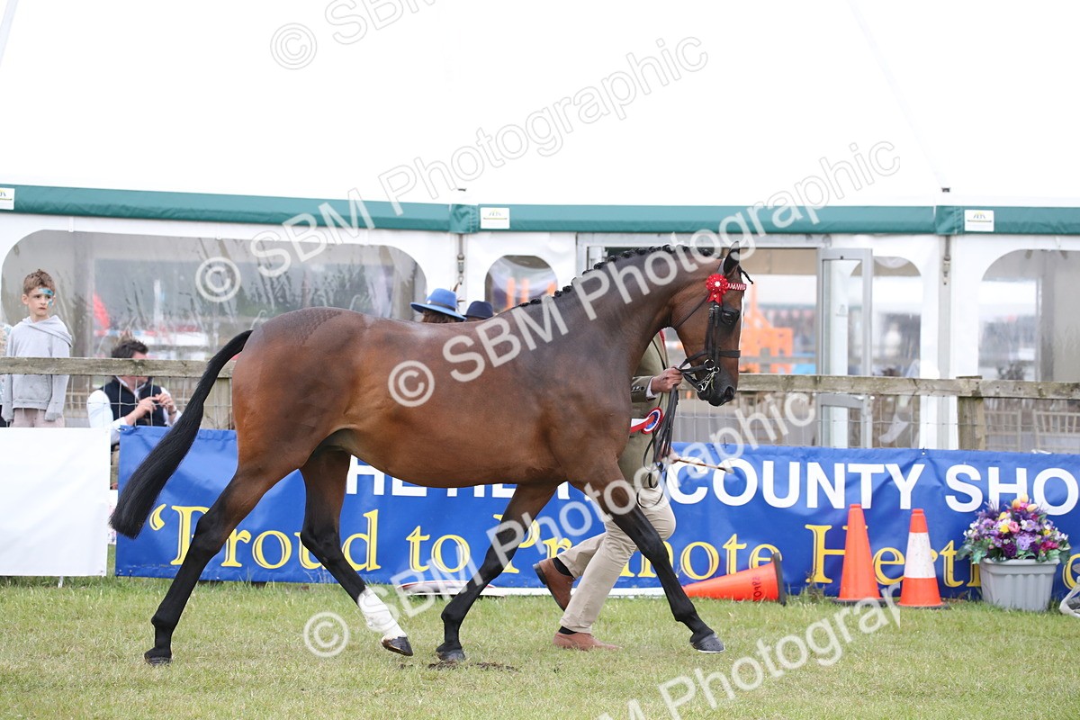 SBM_09784 - Ch 50 - Price Family Supreme In Hand