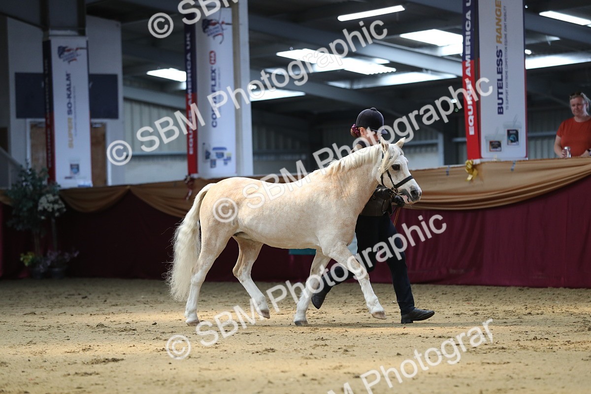 SBM_04336 - Class 7R Regional - IH Diamond