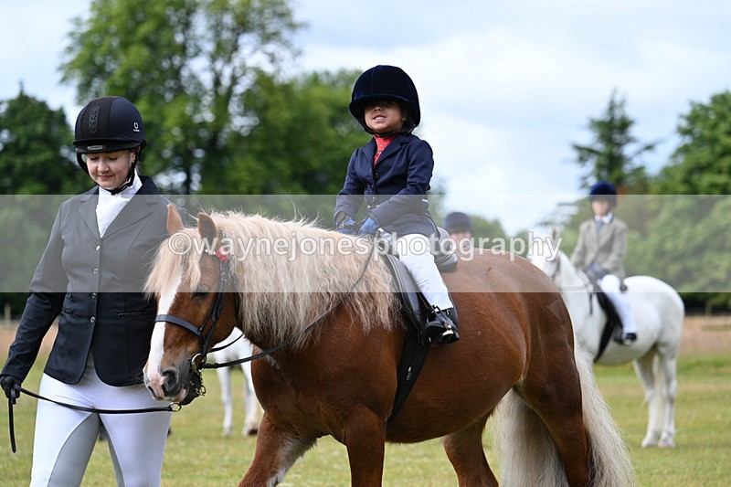 WJ7_4701 - Class 1 Lead Rein Pony