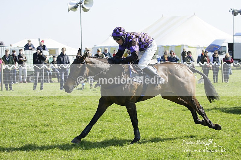 PtP 190322 297 - Wilton Hunt PtP Milborne St Andrew 19/03/22