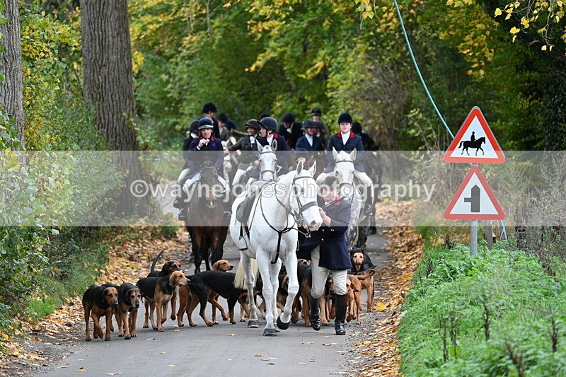 WJ7_7134 - Walk Home..