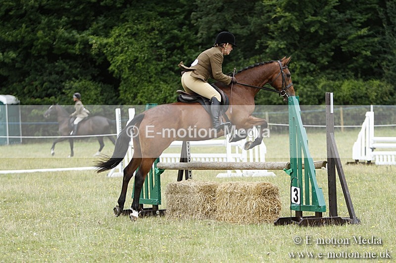 BVR160717-1674 - Ring 3 BVRC Show 16/07/17