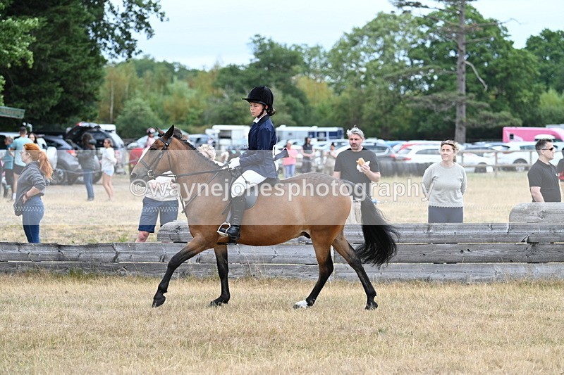 WJ7_7237 - Class 2 Best Rider