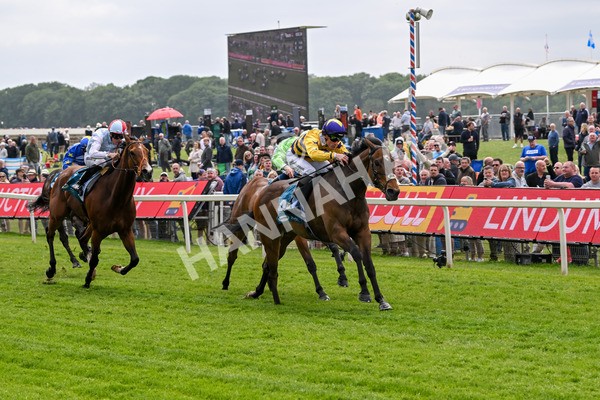 150525-American Affair-3691 - Race 1 2.10pm Lindum York Handicap