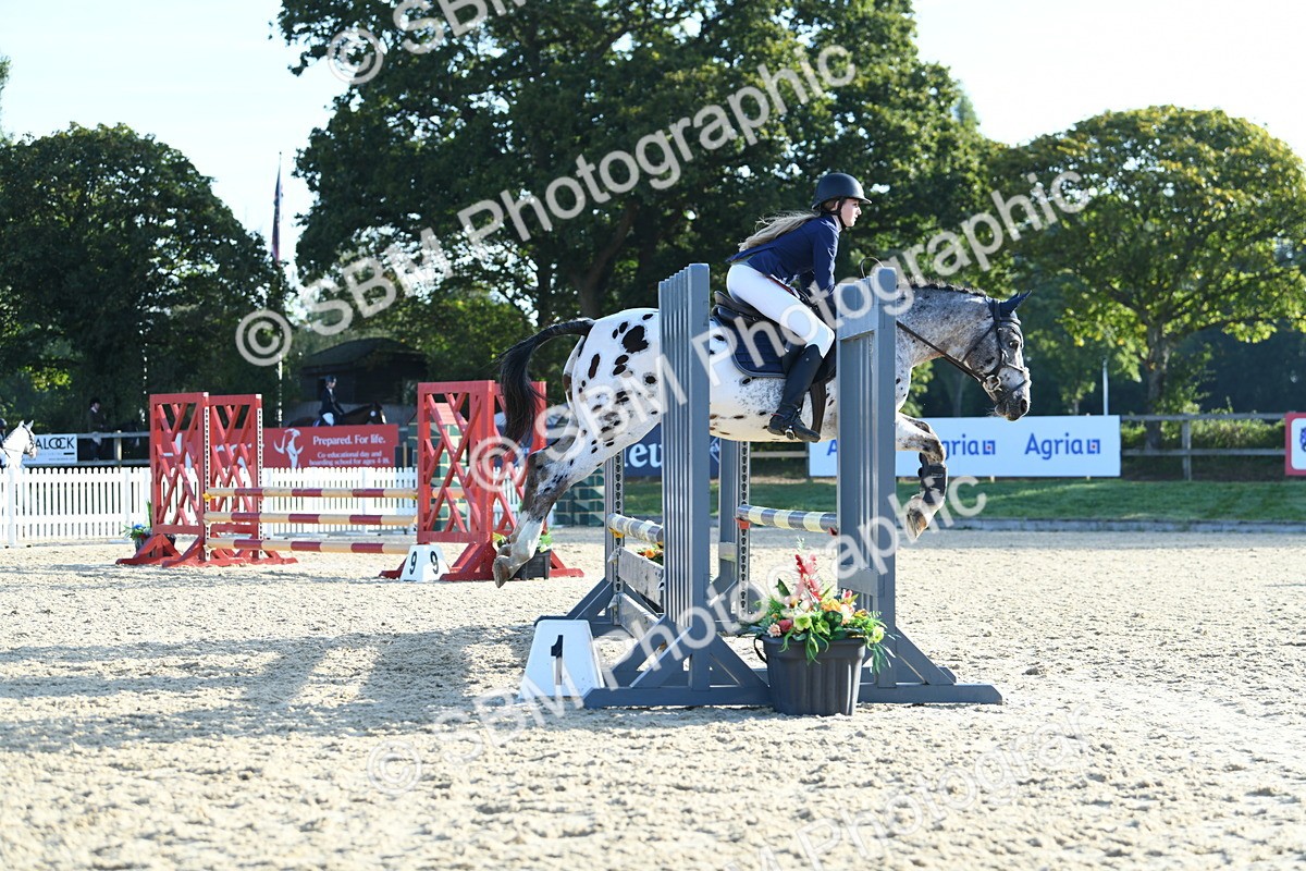 SBM_58327 - J24 - Junior Horse 75cm Championship