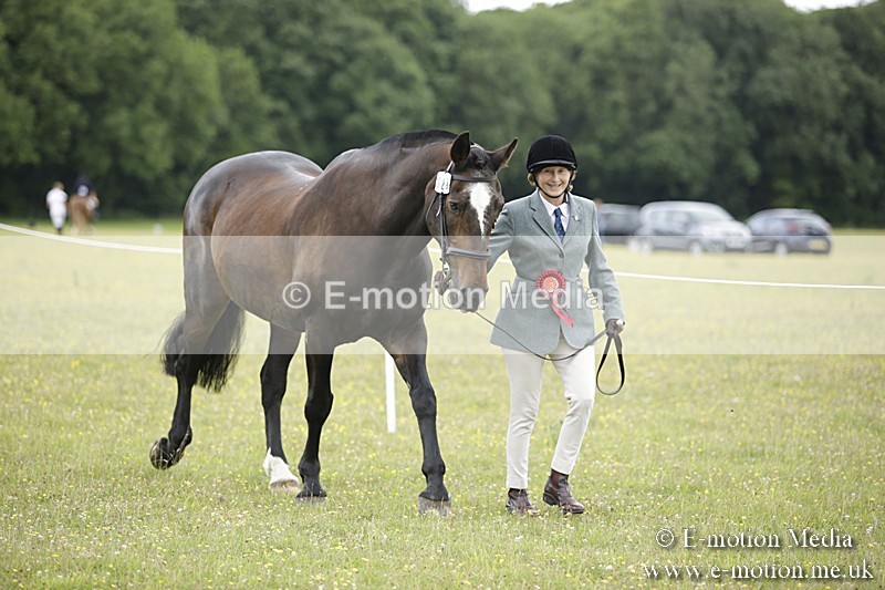 BVR160717-1083 - In Hand Championship 16/07/17