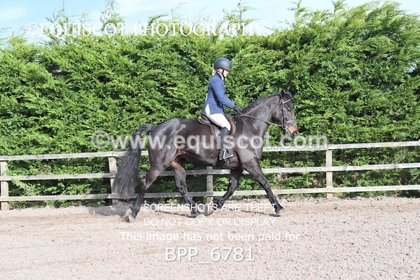 BPP_6781 - RING 1  (RIDDEN HORSES / IN HAND / VETERAN ETC)