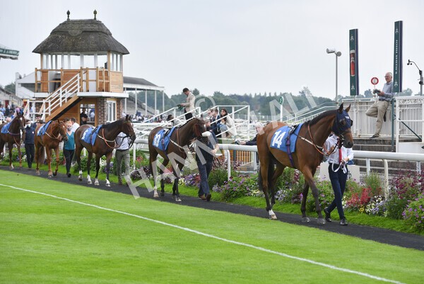 yr10072021r3-2 - Race 3: 2.55pm John Smith's Stayers Stakes