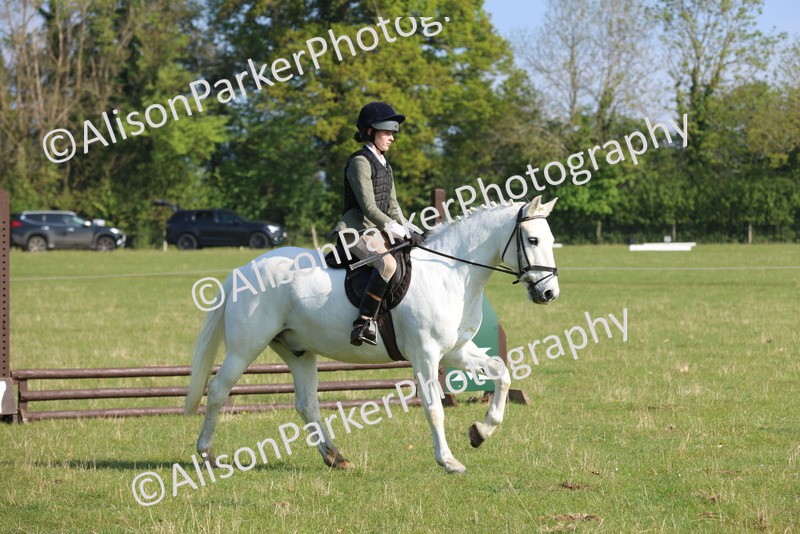 20250427-0564 - Class 17 - Novice Showing