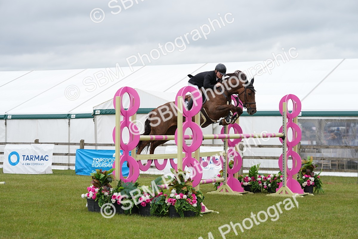 SBM_03445 - Class 201 - British Horse Feeds Speedi Beet Horse of the Year Show Grade  C