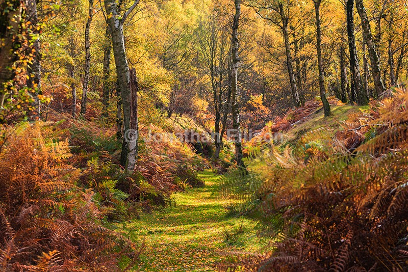 Bolehill Quarry - The Peak District
