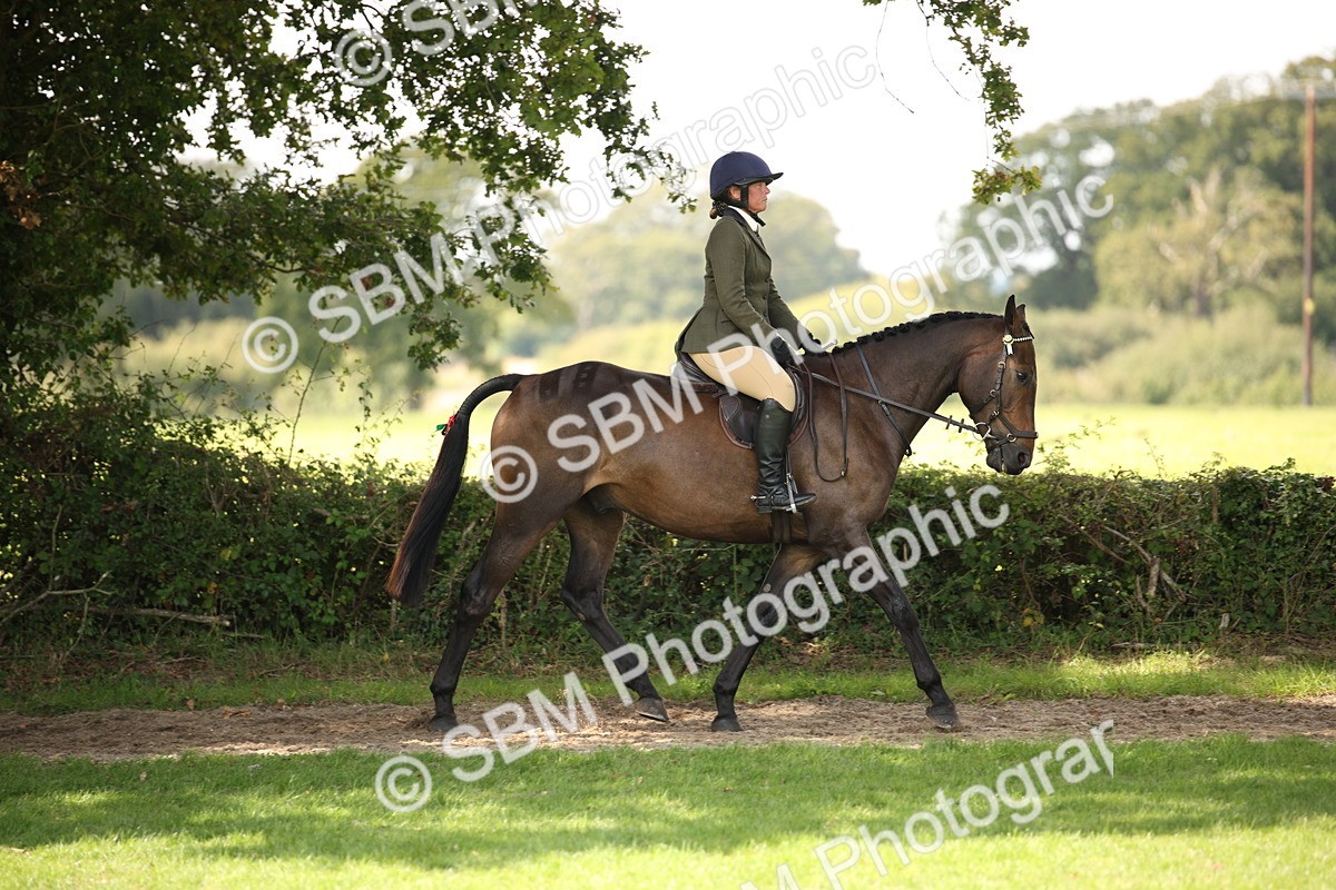 SBM_65921 - S64 - Riding Horse & Hack & Thoroughbred Ridden