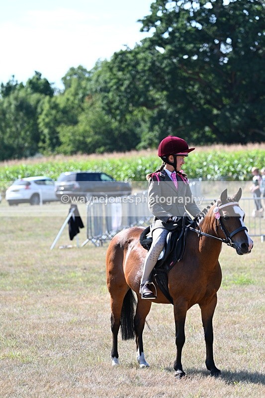 WJ7_3604 - Class 9 Mountain & Moorland Ridden