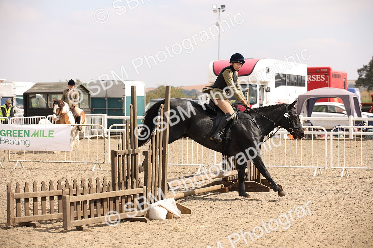 SBM_14316 - Class 407b - Working Veteran 60cm (20+)