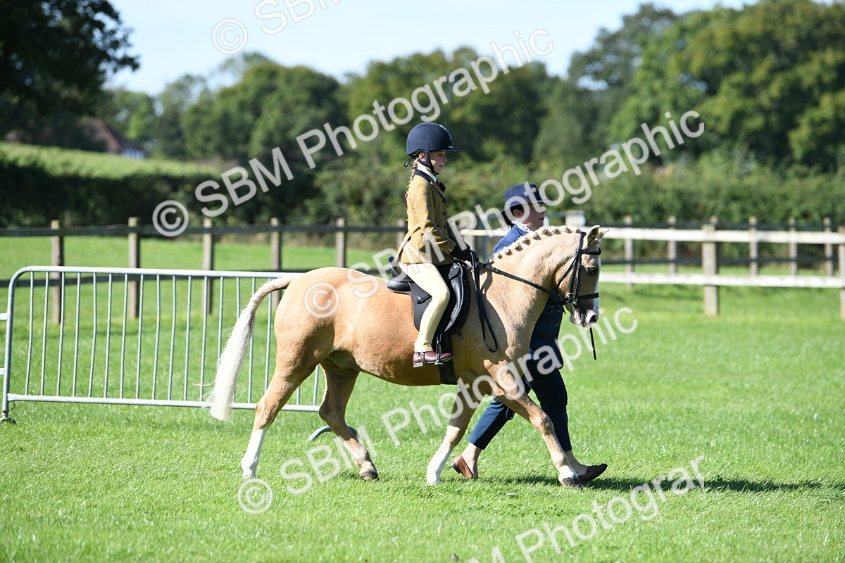 SBM_39542 - S18 - Novice & Newcomers Lead Rein Pony