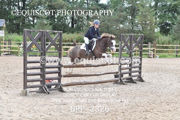 BPP_2326 - DERBY CLASS 7 - 80CM