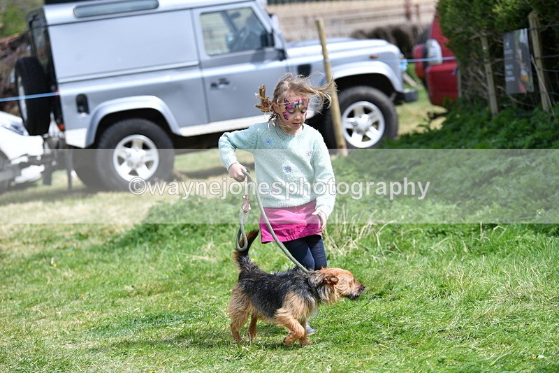 WJ5_0360 - Class 7 Best Terrier