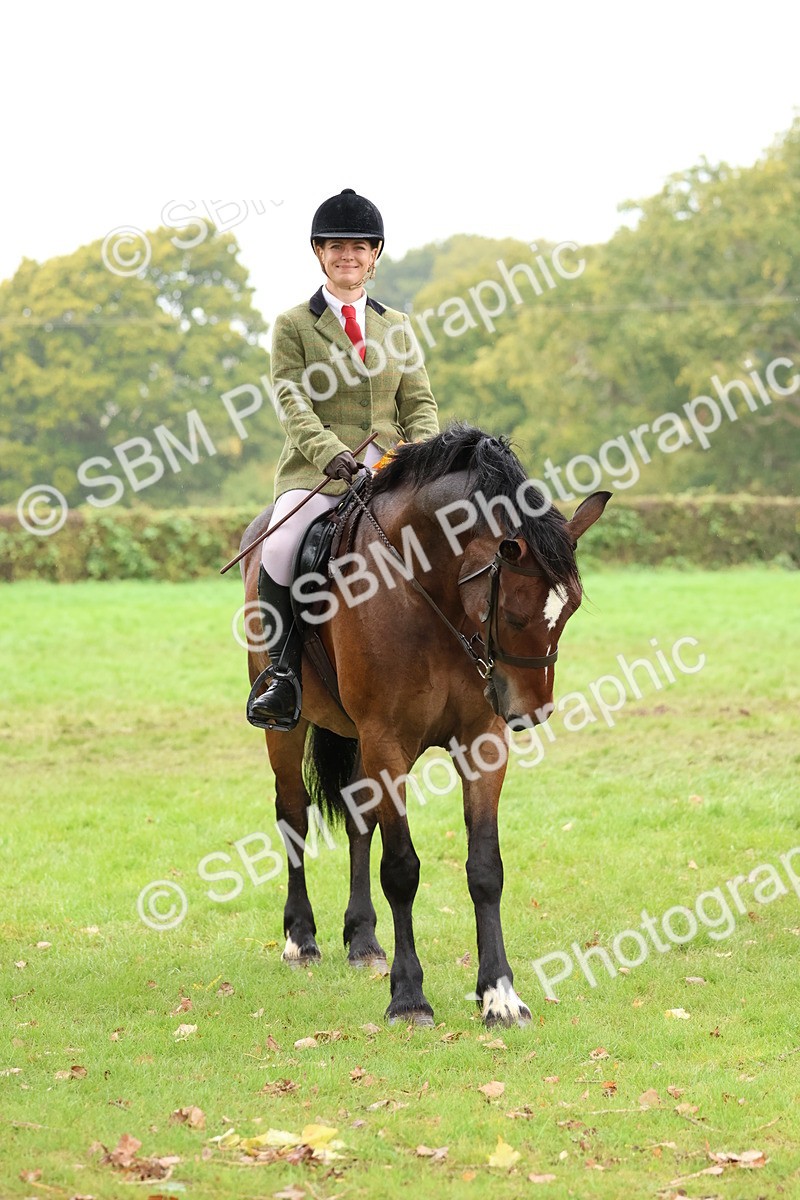 SBM_69764 - S62 - Mountain & Moorland Ridden Large Breeds